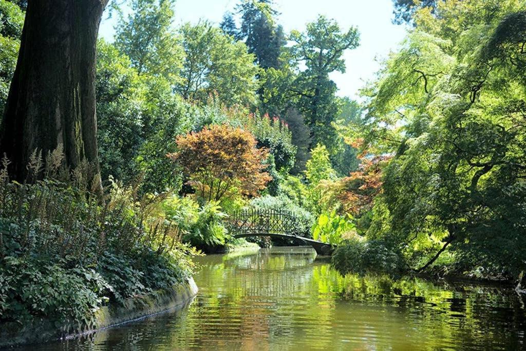 Cottage Of Bellagio'S Woods Civenna Luaran gambar